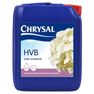 荷兰进口可利鲜保鲜剂促吸剂HVB5L促吸用绣球等木本吸水醒花液