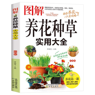图解养花种草实用大全正版 彩图详解花卉养护知识养花教程 花卉知识介绍种植栽培修剪指导繁殖方法书籍 鲜花品种介绍养护知识书籍