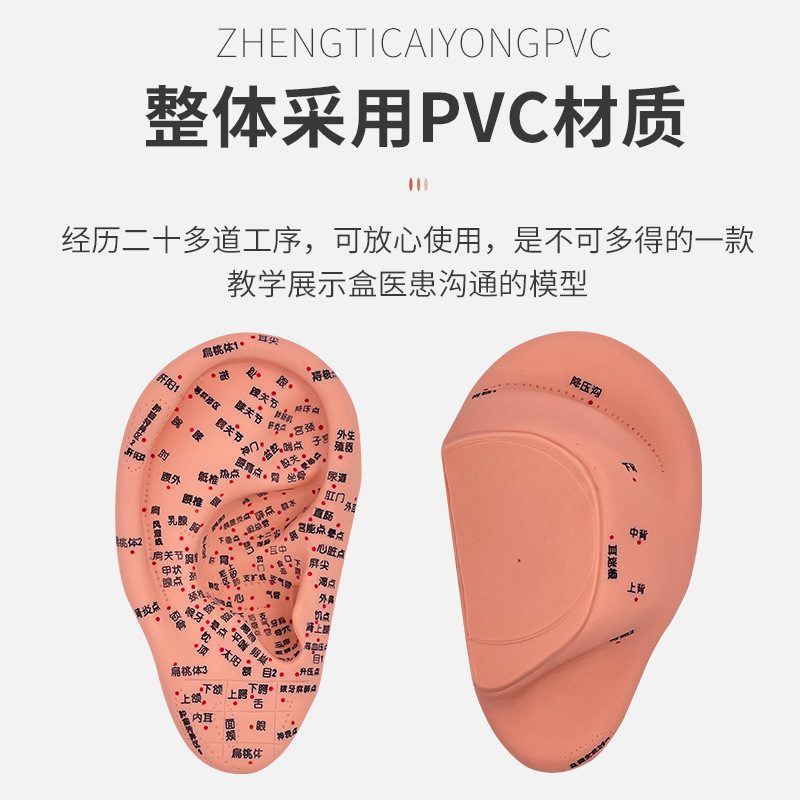 脚穴位模型足部底耳眼睛针灸模推拿手图足底模经络手部脚反射耳朵