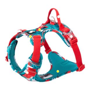 truelove狗狗胸背带背心式牵引绳遛狗大中小型犬宠物用品TLH5653