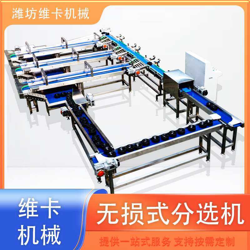 释迦果选果机 砀山梨无损分选机 水果分拣机价格苹果分级机厂家,清洗/食品/商业设备,选果机/分选机,淘宝优惠券,粉丝福利购,淘宝优惠卷