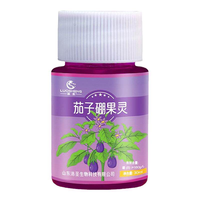 茄子喷花药喷茄子花心授粉坐果