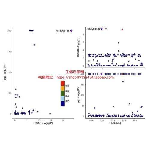 可成药基因孟德尔随机化分析(MR+共定位+分子对接)