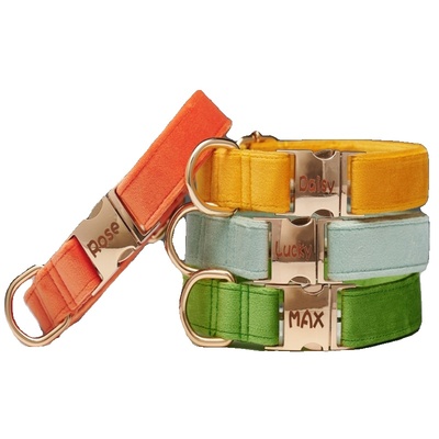 狗狗刻字项圈中大小型犬颈圈宠物脖套牵引绳比熊柴犬防丢不勒脖圈