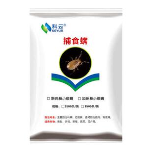 科云加州捕食螨红蜘蛛叶螨柑橘草莓月季花卉多肉大棚天敌生物防虫