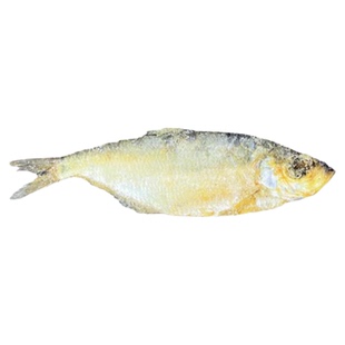 宁波特产三刨霉鳓鱼白鳞鱼咸香鱼霉力鱼舟山香臭霉香鱼咸鱼干货