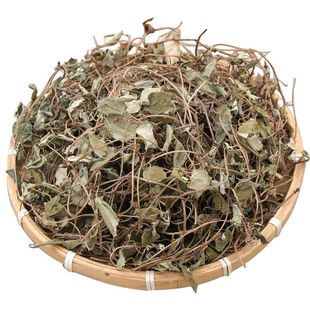 中药材金钱草500g中草药四川正宗野生大叶金钱草干茶过路黄干草