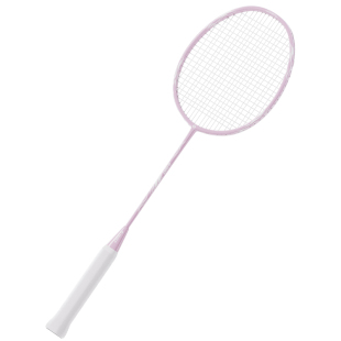 羽毛球拍正品旗舰店套装全碳素超轻女生新手初学者专业耐打单双拍