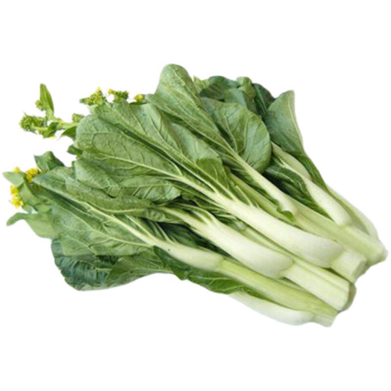 广东四九菜心种子红菜苔孑白菜苔四季蔬菜种籽增城迟多仔青菜大全