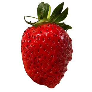 凉山西昌露天香野隋珠纯甜草莓全熟采摘产地顺丰直发礼盒新鲜水果