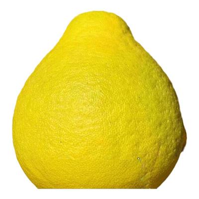 梅州新鲜沙田柚子纯甜孕妇水果