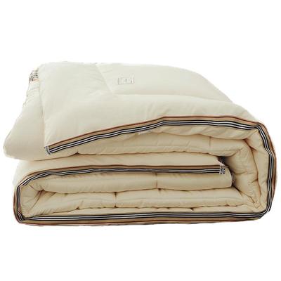 紫罗兰加厚保暖冬季单人太空被