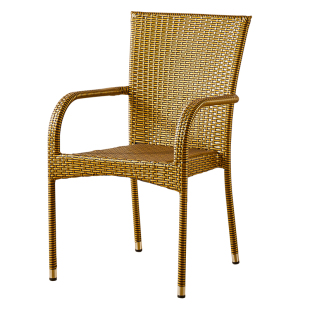 藤椅靠背椅单人老人家用简约编织藤条椅阳台休闲户外桌椅餐厅椅子