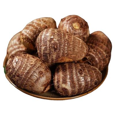 云南高山牛奶小芋头粉糯香甜新鲜现挖9斤牛奶芋头小香芋小毛芋