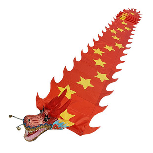 广场舞健身龙彩绸带中老年人幼儿运动五角星彩绸钢架龙头学生道具