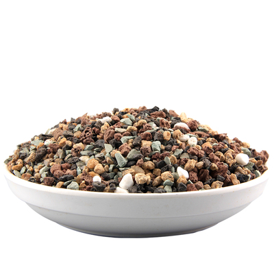 多肉颗粒土虹彩石植物花卉铺面石