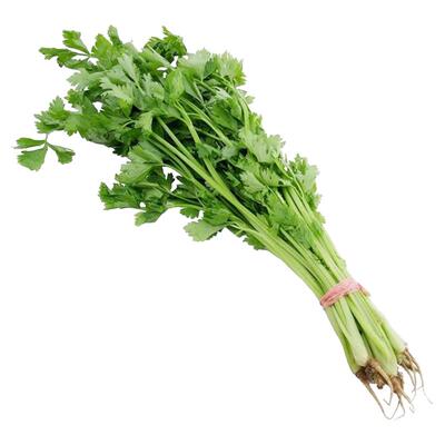 四季小香芹种子种籽孑苗大芹菜根苗蔬菜菜苗幼苗秧苗菜籽大全