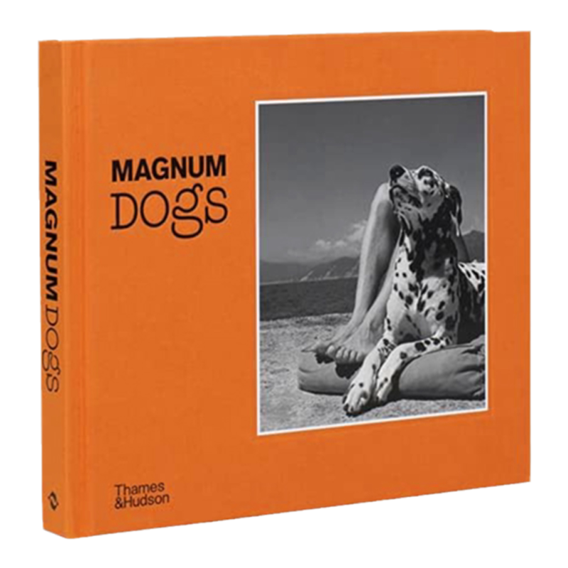 MagnumDogs马格南狗狗拍摄集