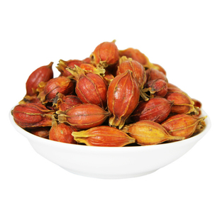 精选中药材 野生 栀子 精选大粒 枝子粉 黄栀子红栀子山栀子500克