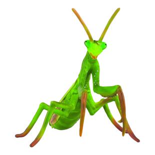 [小探索]CollectA昆虫蝴蝶爬行两栖仿真动物模型微观世界沙盘模型