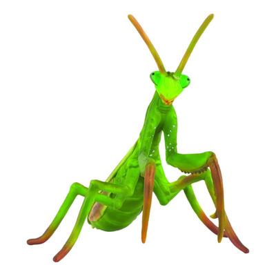 昆虫仿真动物模型Collecta