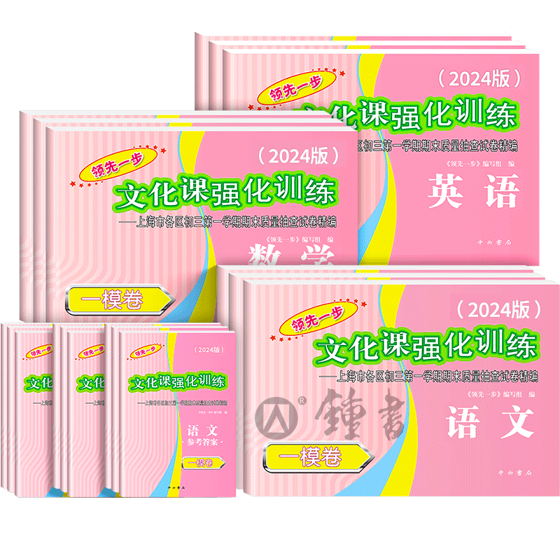上海中考一模卷文化课强化训练