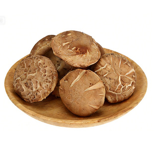 新鲜湿香菇现摘农家特产当季菌菇火锅菌子冬菇食用菌煲汤食材炒菜