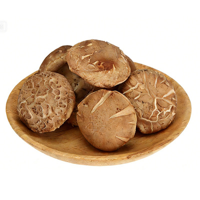 新鲜湿香菇现摘农家特产当季菌菇火锅菌子冬菇食用菌煲汤食材炒菜