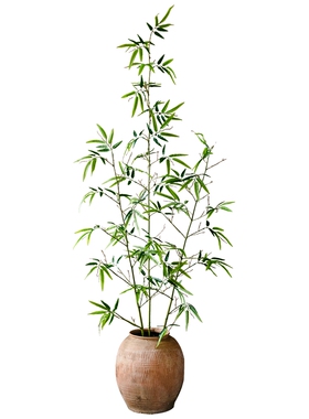 掬涵仿真竹子盆栽绿植隔断屏风