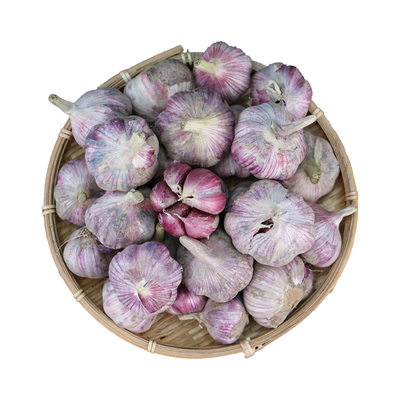 2026年正宗云南本地新鲜紫皮多瓣大蒜可吃可种植新蒜鲜蒜半干蒜头