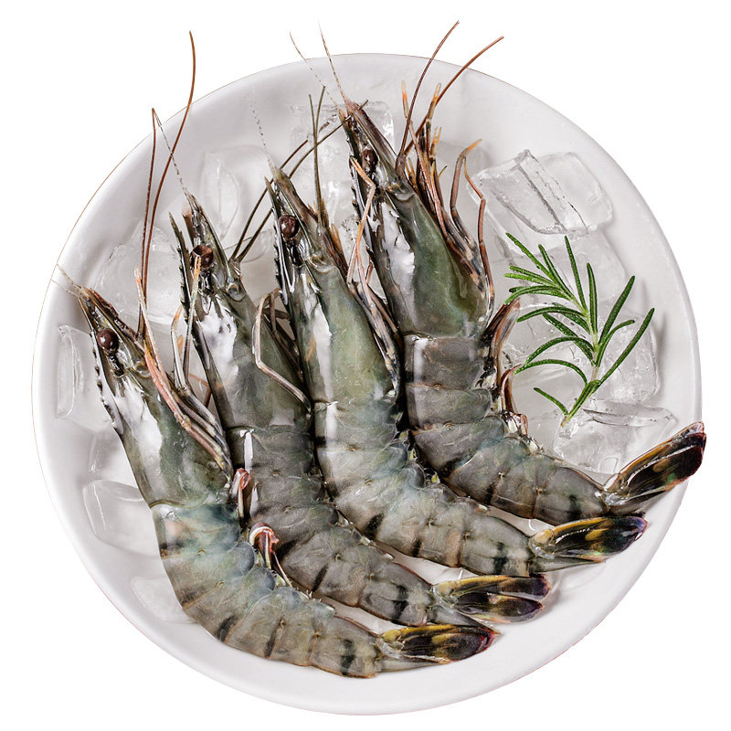 特大黑虎虾新鲜速冻大虾