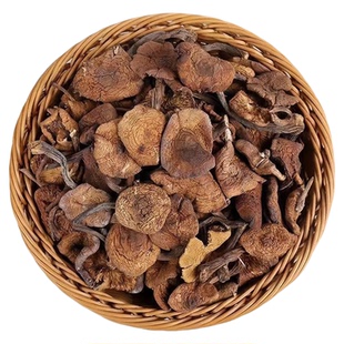 东北纯野生榛蘑丁特级干货农家小鸡炖蘑菇山货特产营养菌菇干蘑菇