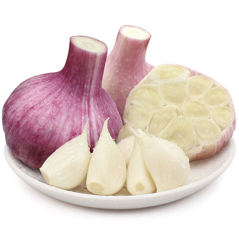 正宗金乡大蒜新鲜干大蒜