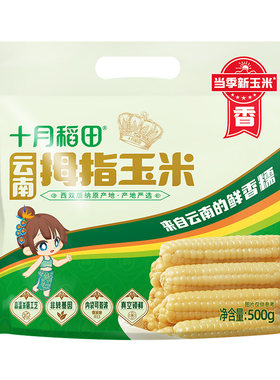 十月稻田云南拇指玉米