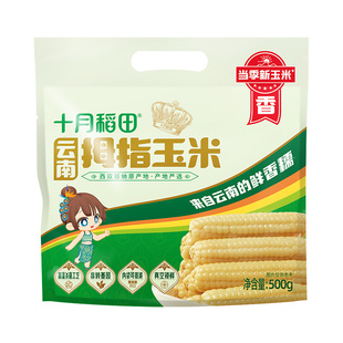 十月稻田云南拇指玉米500g非转基因真空包装甜糯软糯新鲜玉米