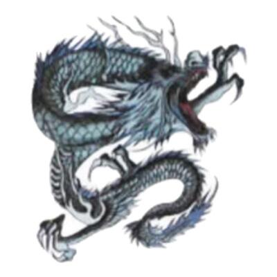 纹身贴防水男女持久手臂仿真动物