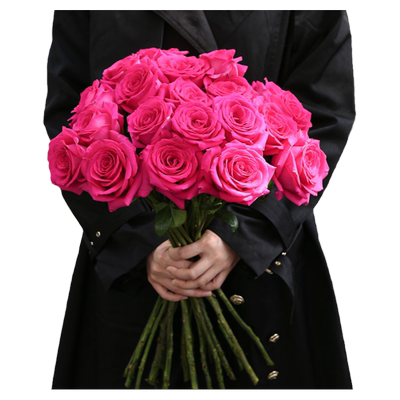 弗洛伊德玫瑰花鲜花家养鲜切花