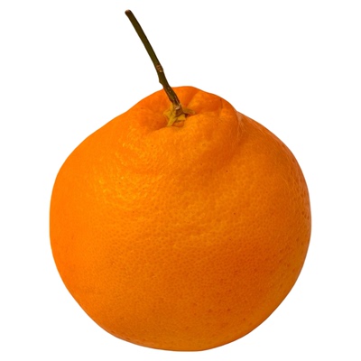 蒲江春见耙耙柑加百列系列耙耙柑