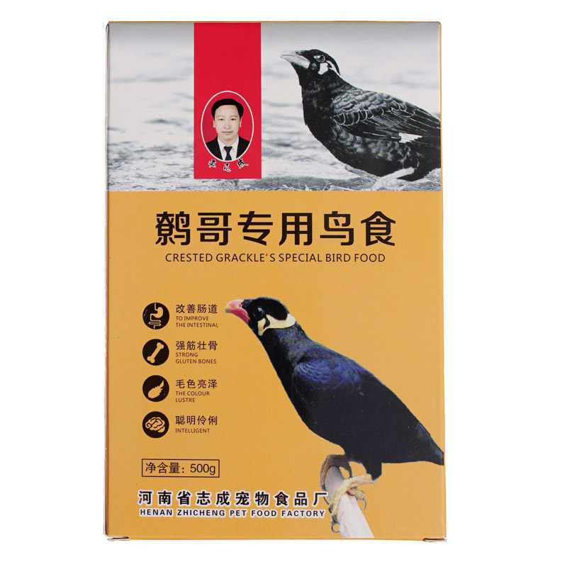 李氏鸟食鸟食有助说话