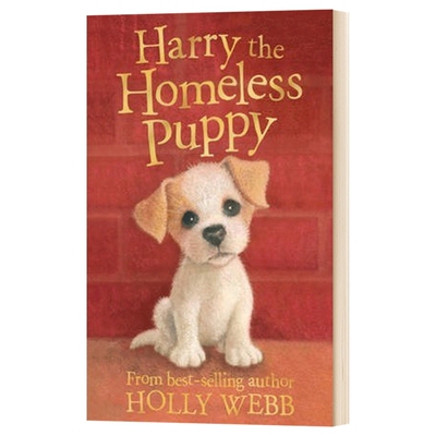英文原版 Harry the Homeless Puppy Holly Webb Animal Stories 霍莉韦伯 我的宠物宝贝系列 英文版儿童图书