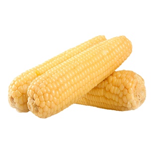 2025新0添加非转张家口糯玉米软糯香甜真空熟制真空常温保存