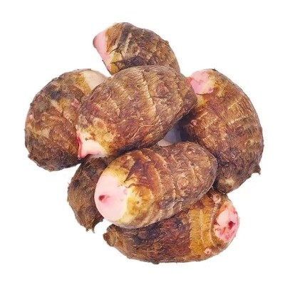 广西新鲜红芽芋头小芋头