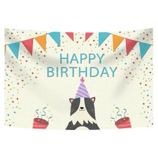 卡通生日挂毯生日party背景布生日会布置氛围感装饰布拍照场景布