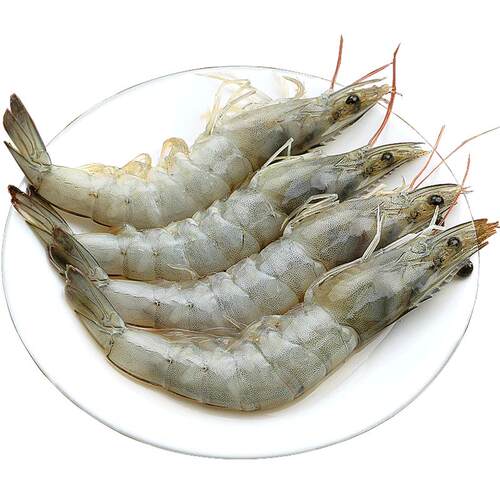 冻虾