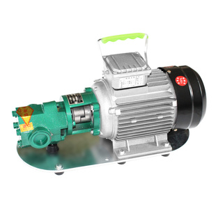 wcb齿轮泵不锈钢齿轮泵大流量耐高温齿轮泵高粘度小型齿轮泵总成