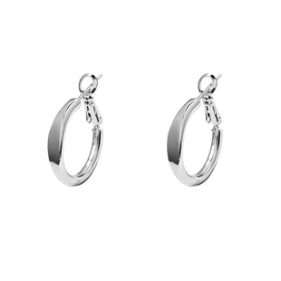 ins银色圈圈耳环女2025新款爆款耳钉小众独特高级感小耳圈耳夹饰