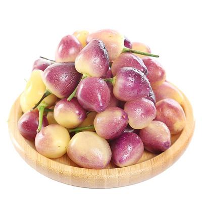 现摘新鲜七彩椒头茬靓果