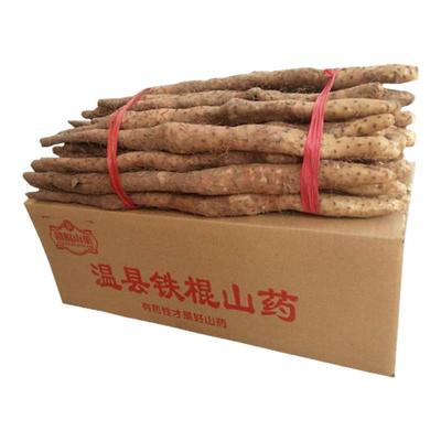 新鲜正宗温县垆土铁棍山药怀山药
