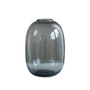 高级感大肚花瓶透明玻璃轻奢客厅摆件插花瓶雪柳鲜枝专用水培花器