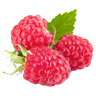 虹越树莓苗盆栽树苗南北方种植多年生阳台果树金秋